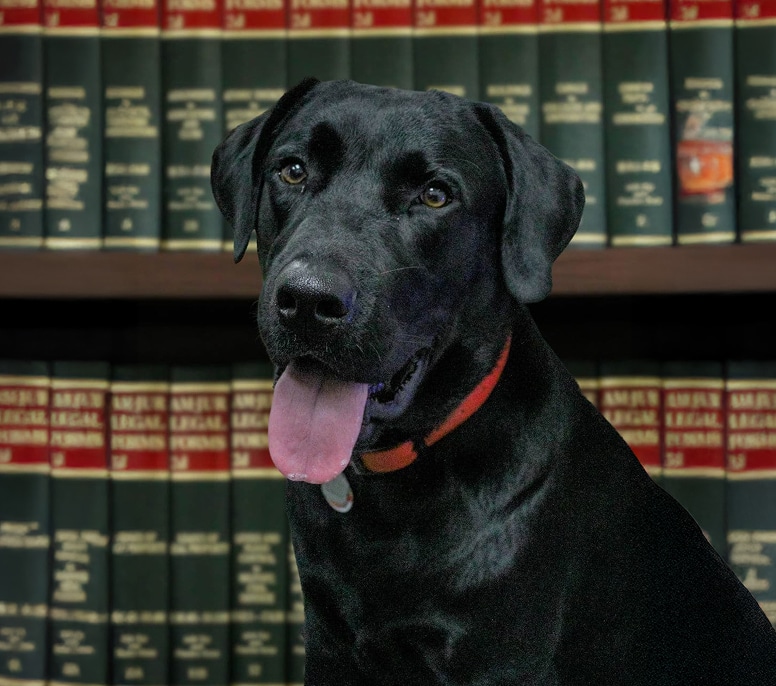 Mr. Winston's Profile Image